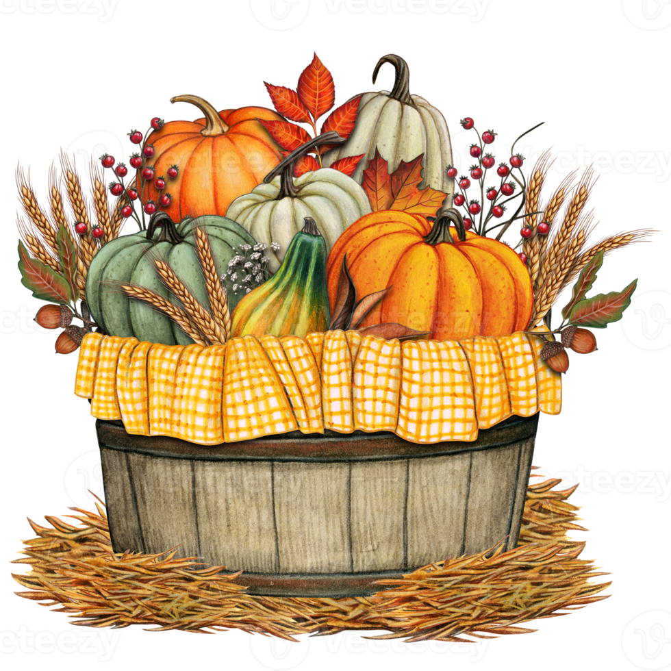 Watercolor harvest pumpkin basket decoration png