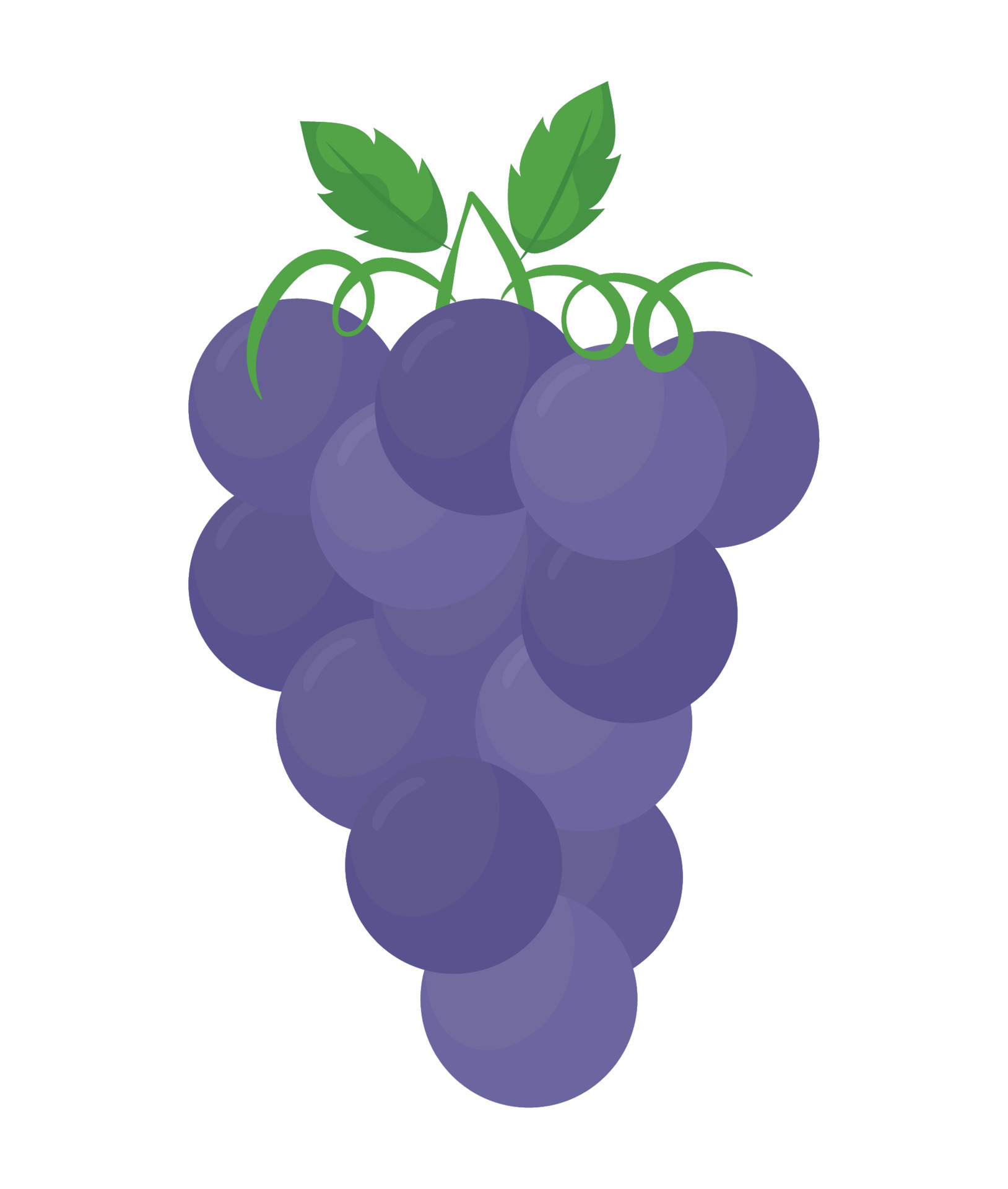 purple grapes design 21387976 Vector Art at Vecteezy