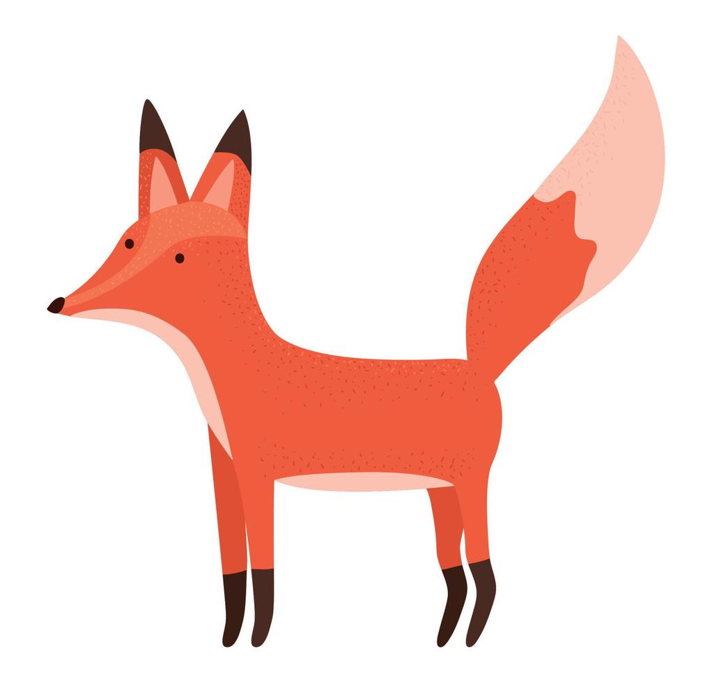 colored fox design 21387993 Vector Art at Vecteezy