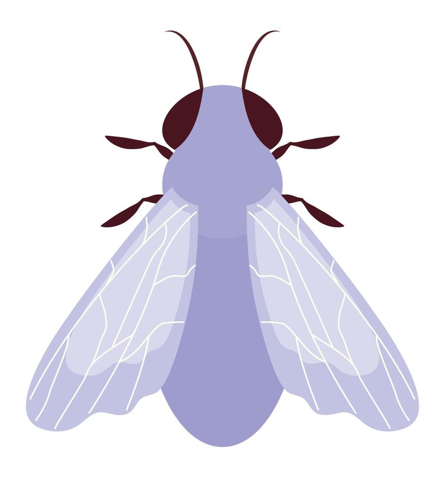 colored fly design vector