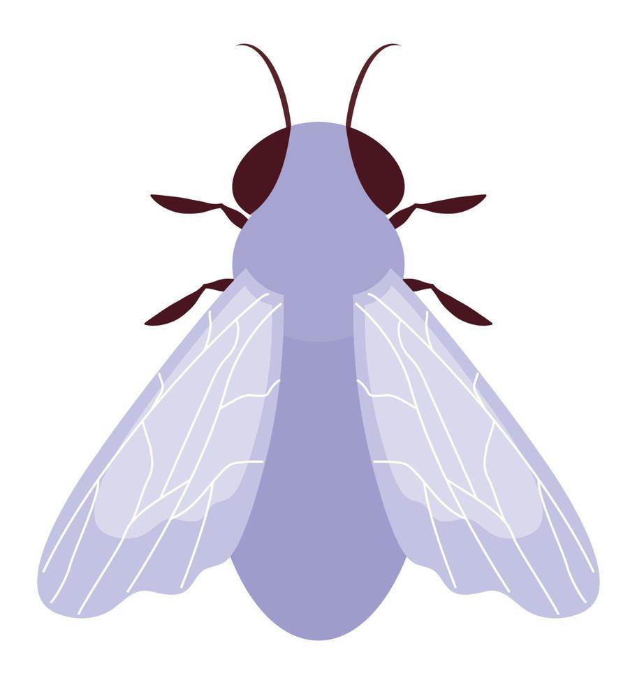 de colores mosca diseño vector