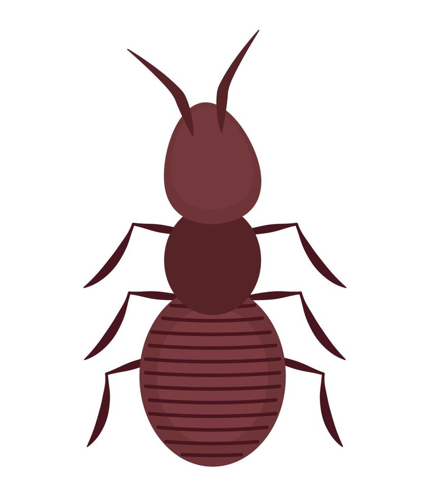 colored ant design vector