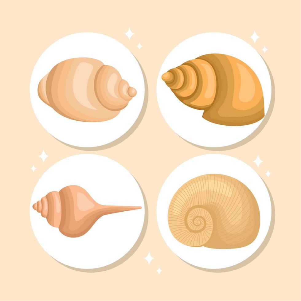 four engraved seashell vector