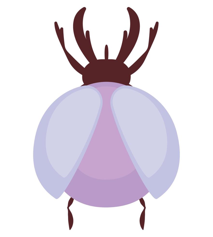 colored scarab design vector