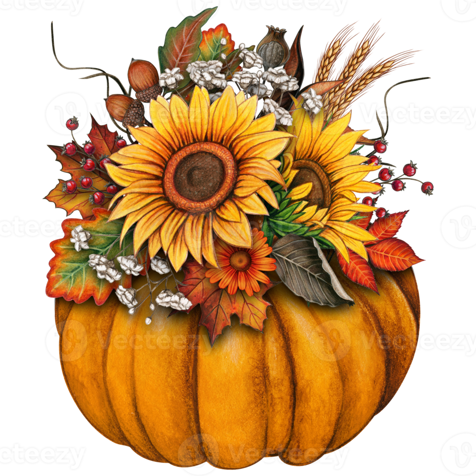 watercolor fall composition with pumpkin, sunflowers, dry herbs png