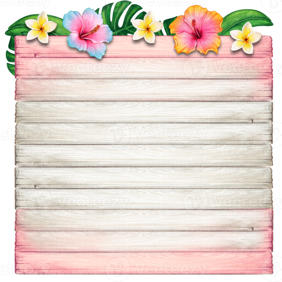 watercolor tropical summer frame png