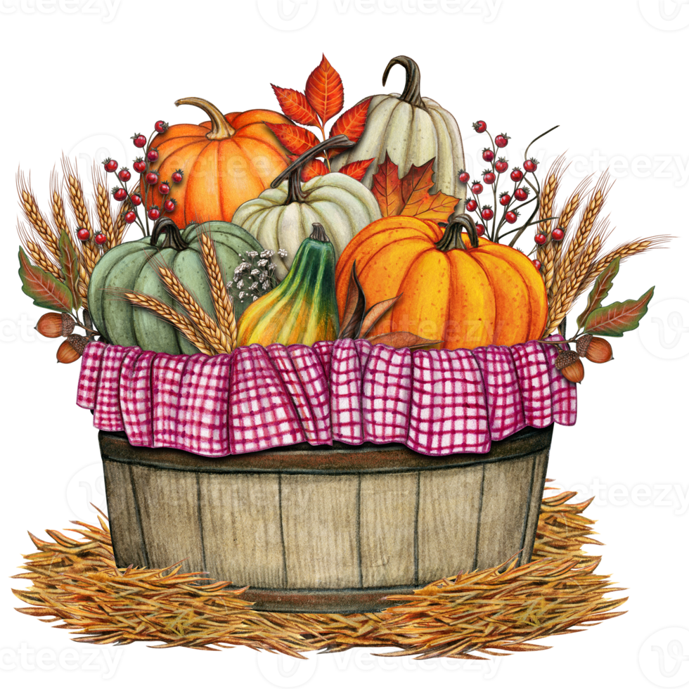 Watercolor harvest pumpkin basket decoration png