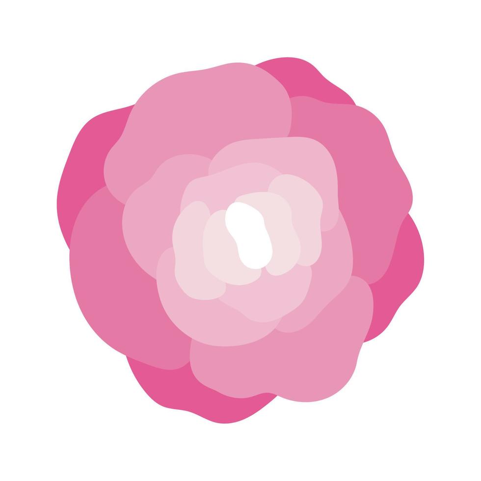 flower with pink petals vector