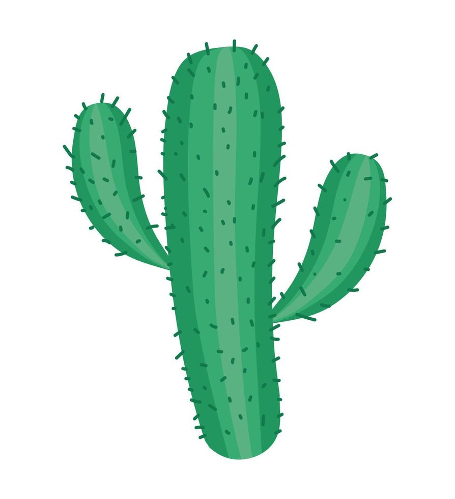 cactus with spines vector