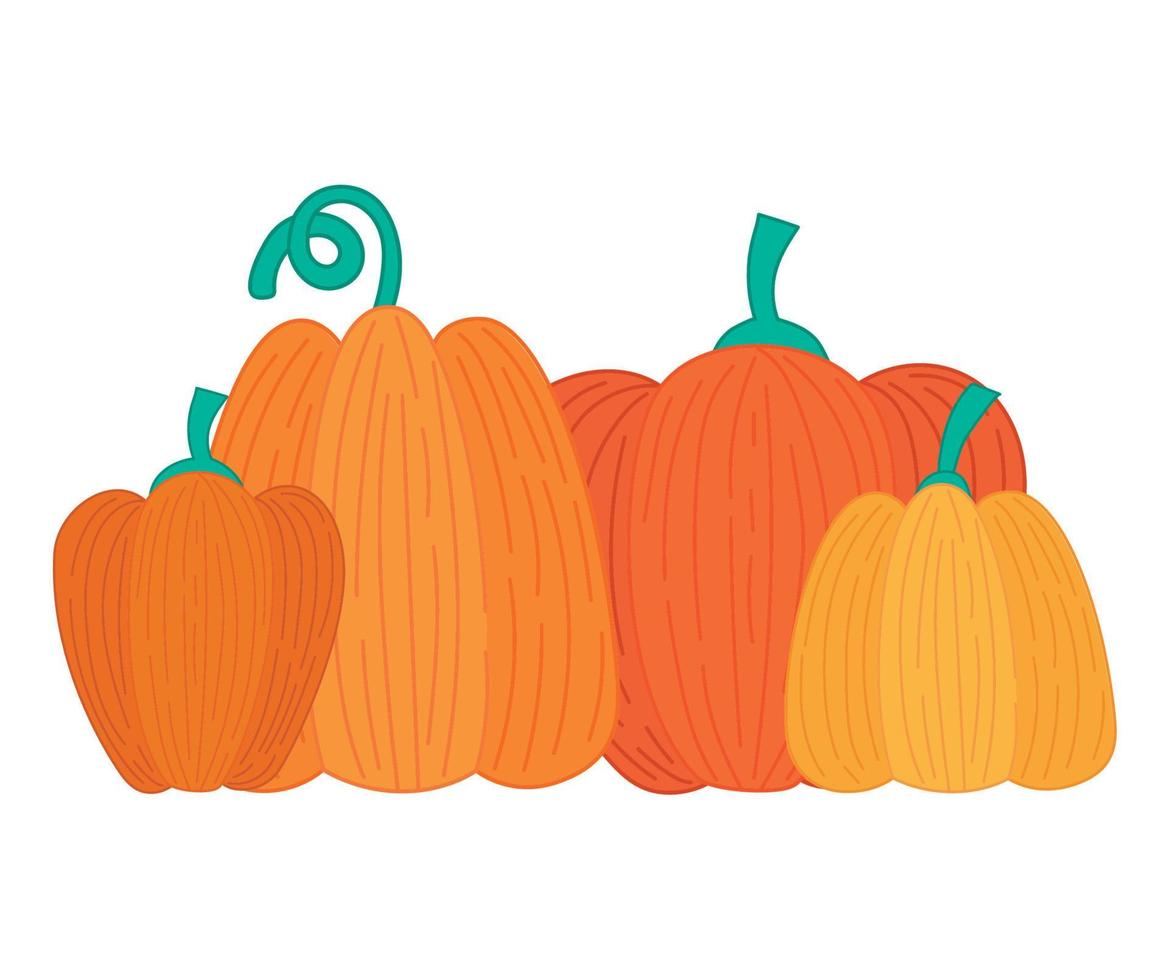 orange pumpkins design vector