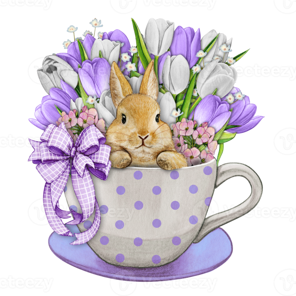 Watercolor hand drawn cute bunny in a tea cup png