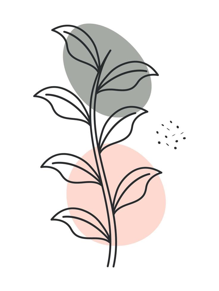 natura plant image vector