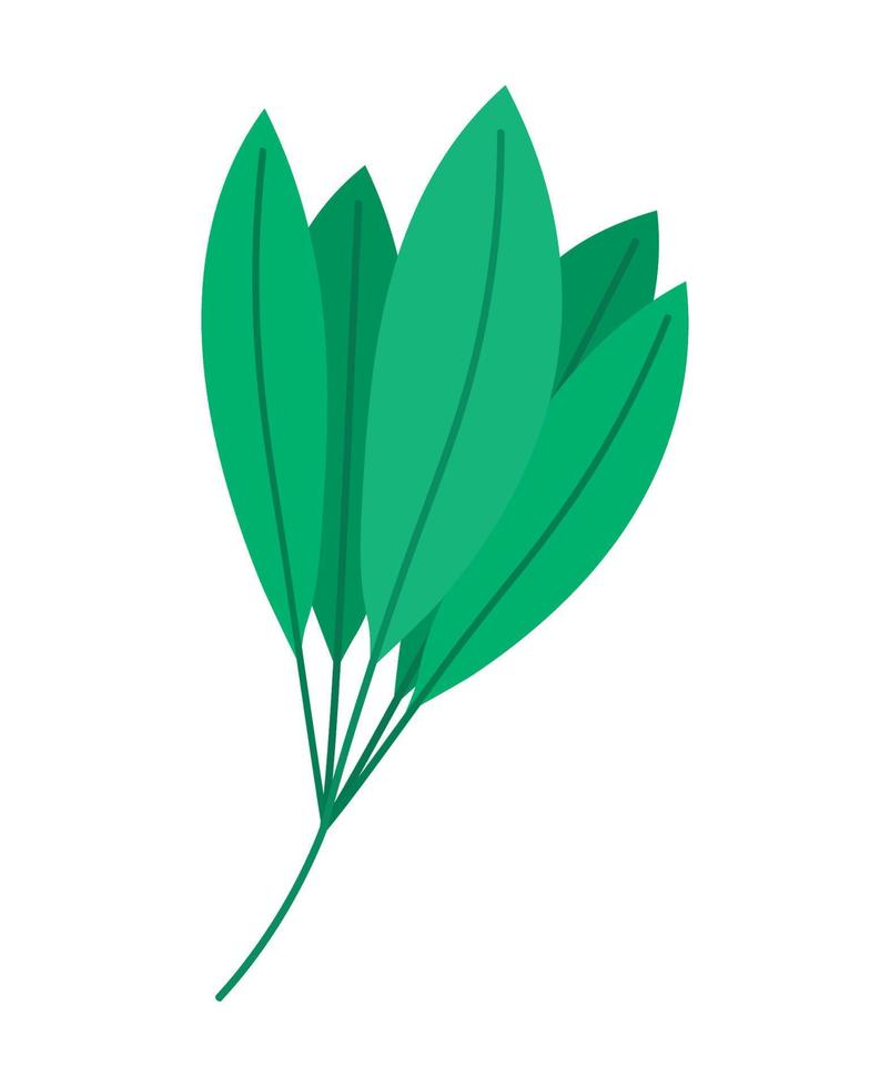 leaves on a stem vector