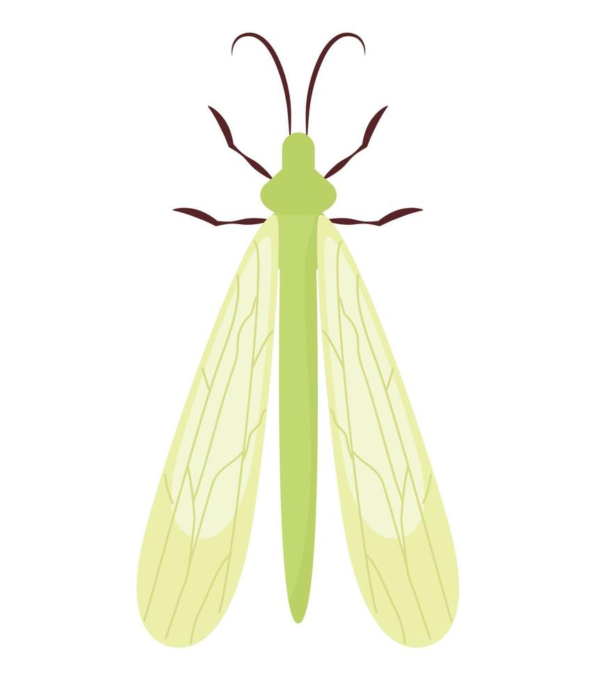 verde libélula diseño vector
