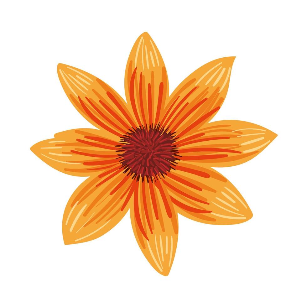 flower with yellow petals vector