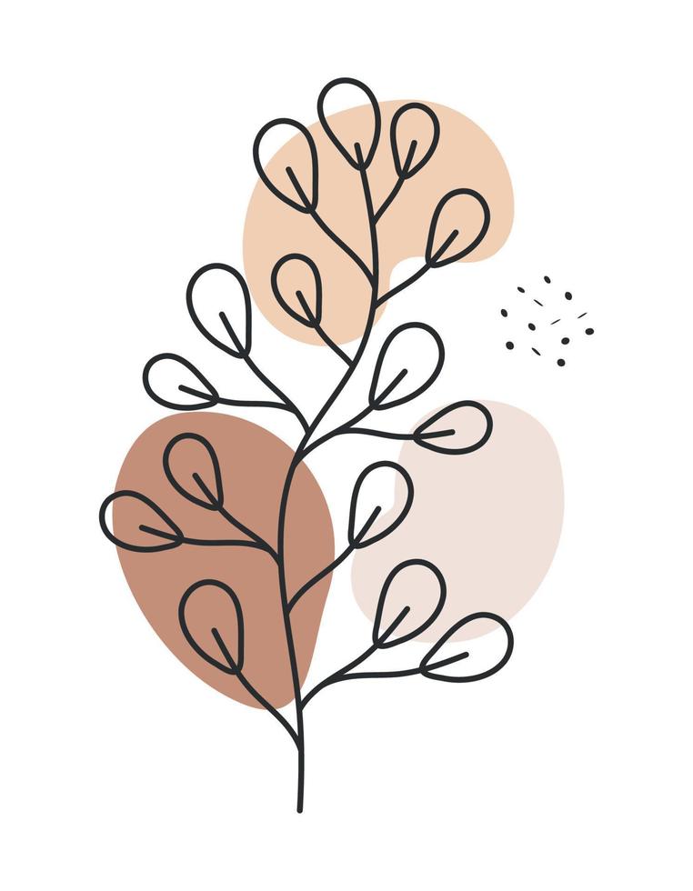 botany plant image vector