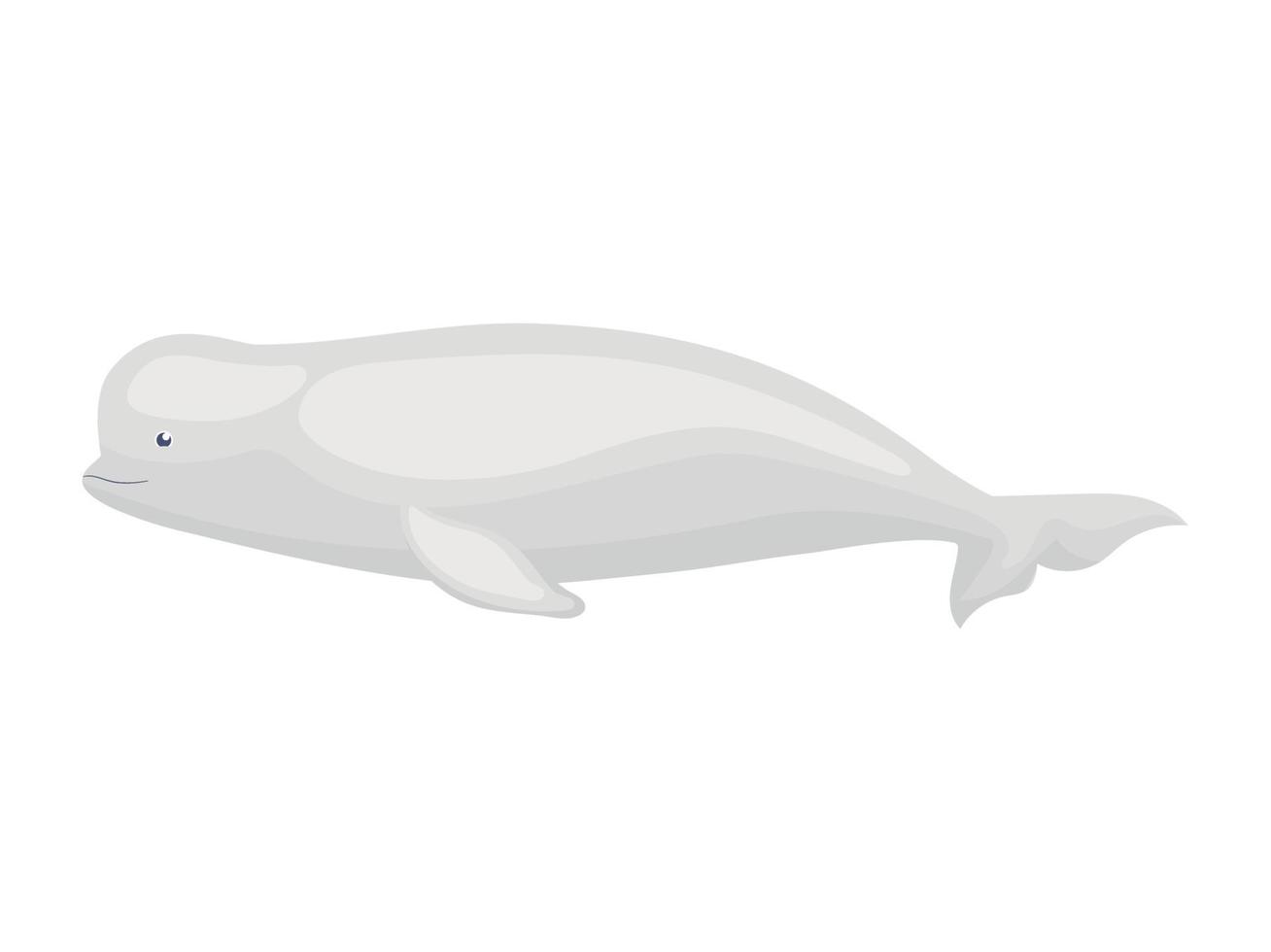 gray beluga design vector