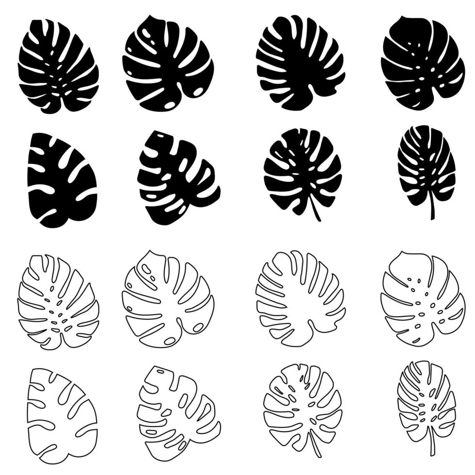 Monstera leaf icon vector set. Tropical leaves illustration sign collection. Palm symbol or logo.