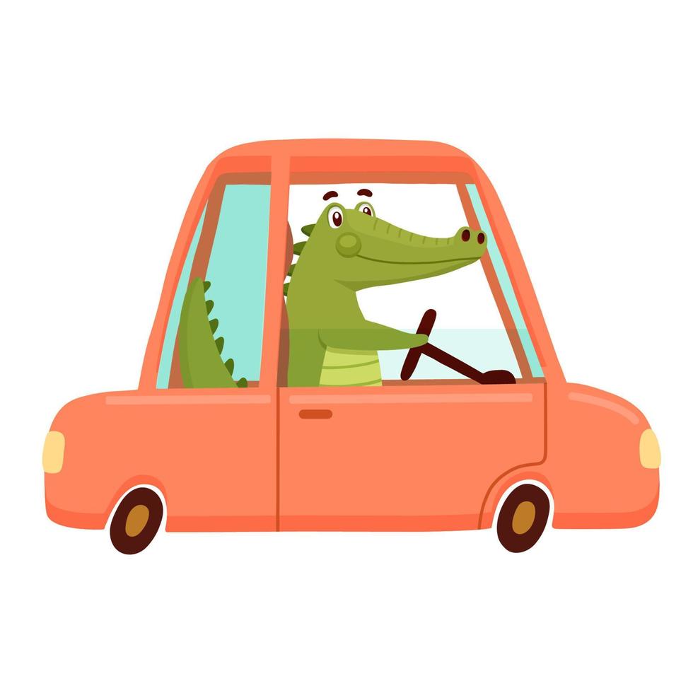 Cute Crocodile driving in red car. Funny Alligator isolated on white