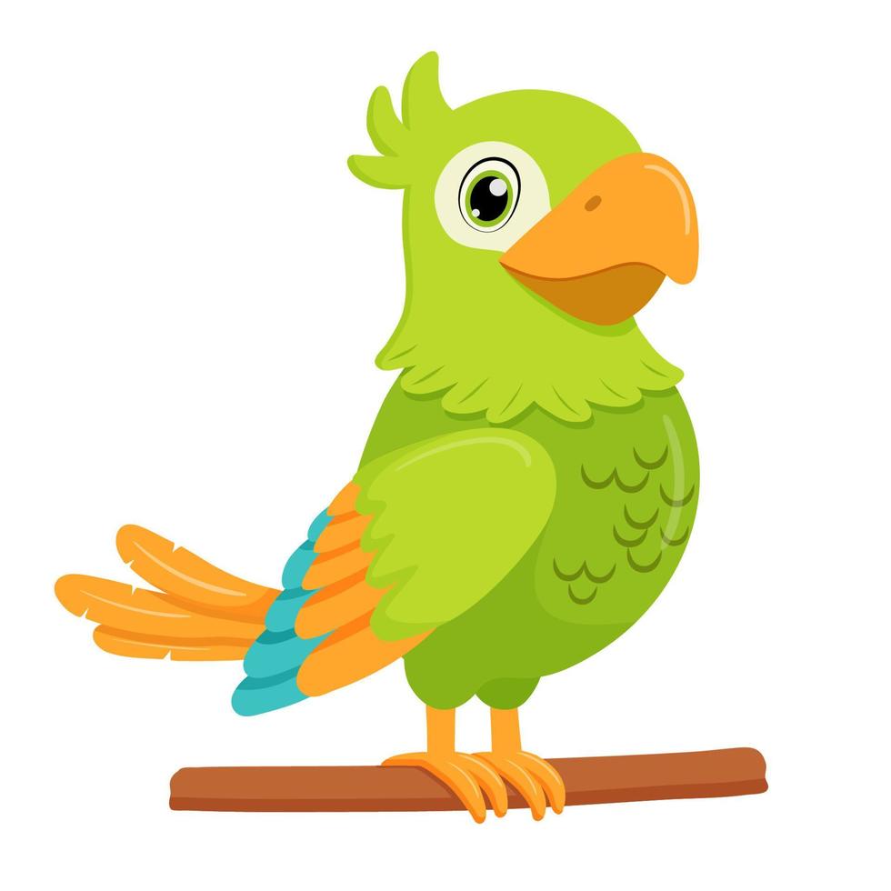 Green parrot bird standing on branch. Flat cartoon character isolated on white. vector