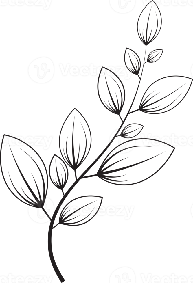 botanical line art png