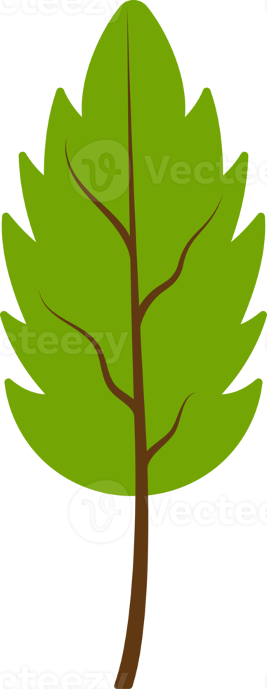 folha verde isolada png