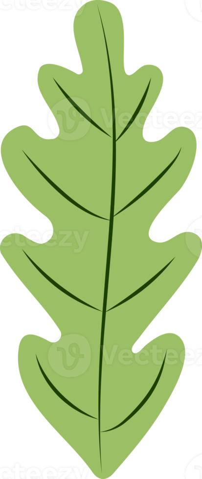 Green Leaf Isolated png