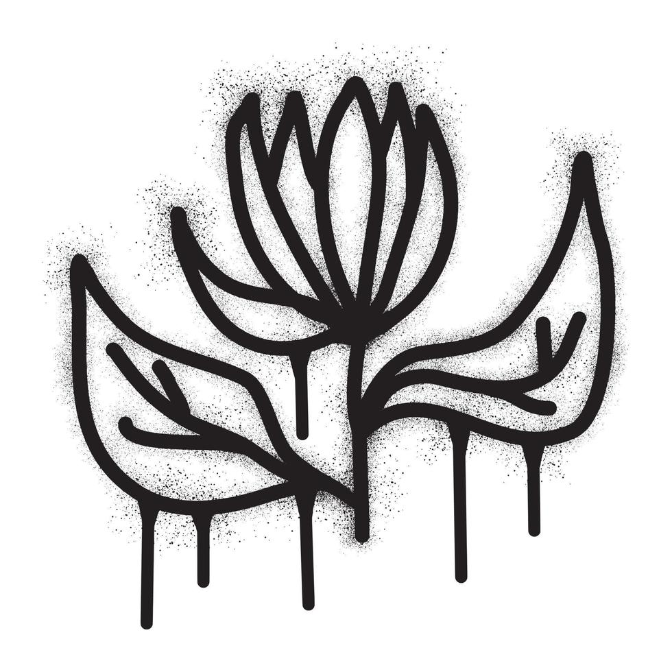 Lotus flower graffiti with black spray paint vector