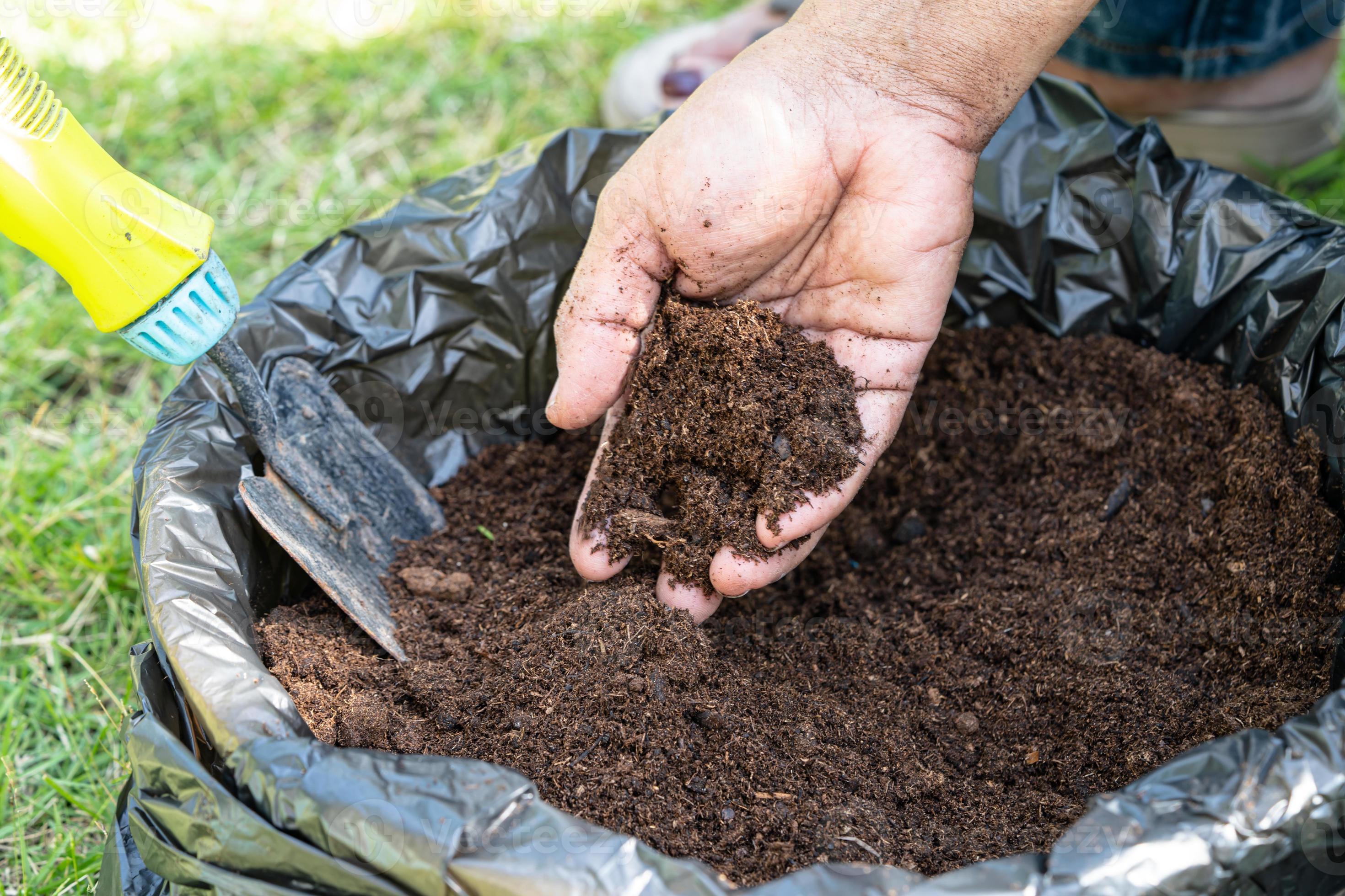 Hand holding peat moss organic matter improve soil for agriculture organic  plant growing, ecology concept. 21394052 Stock Photo at Vecteezy