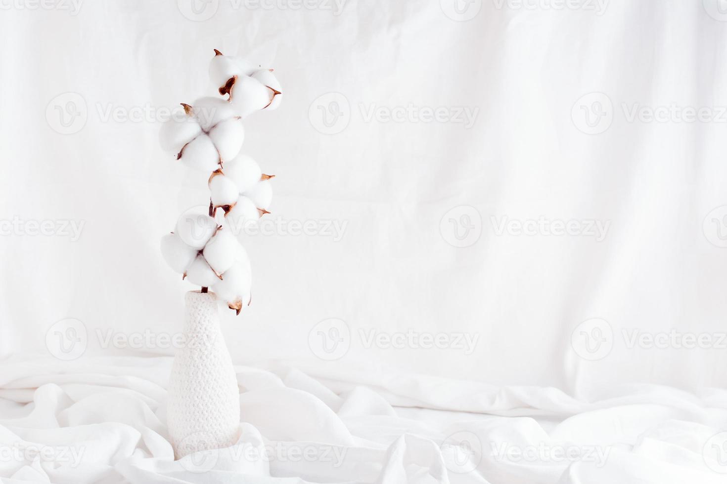 A branch of cotton in a vase on a white cloth. Concept white on white. Home interior. Copy space photo