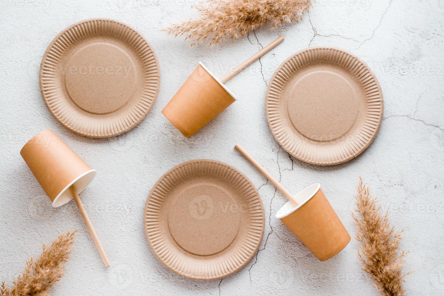 Eco friendly disposable cardboard tableware. Plates, cups and tubes are arranged on a light background. Top view. photo