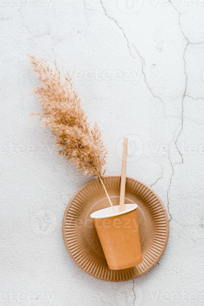 Eco friendly disposable cardboard tableware. A cup and a tube lie on a plate on a light background. Top view. Verical view photo