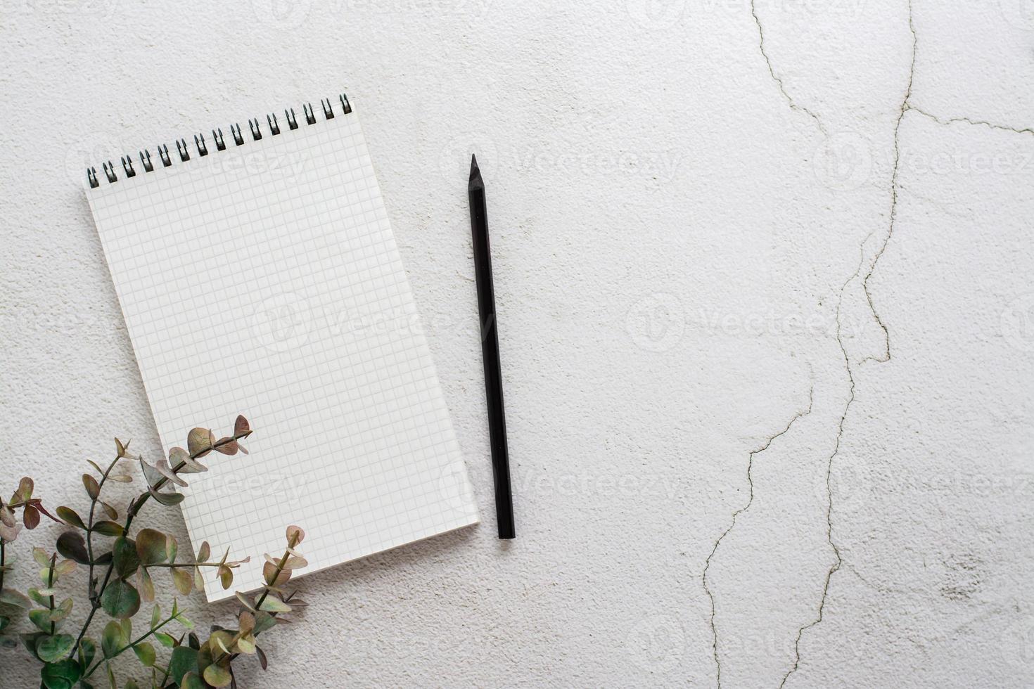 Notepad for writing, pencil and eucalyptus branch on a light textured background. Planning and organization. Top view. Copy space photo