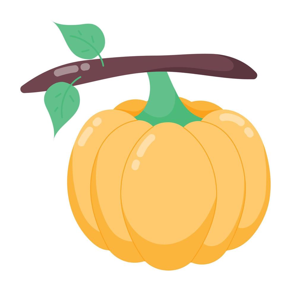 de moda calabaza vino vector