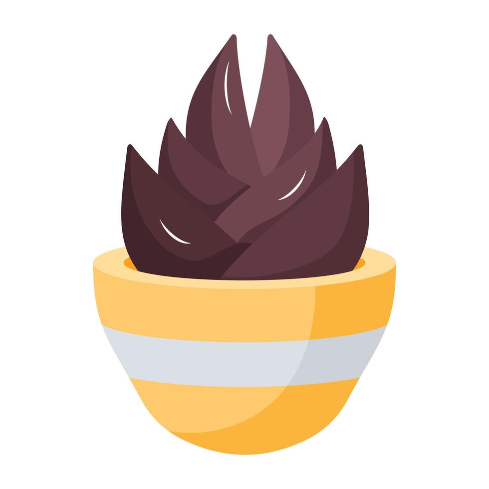 Trendy Echeveria Miranda vector