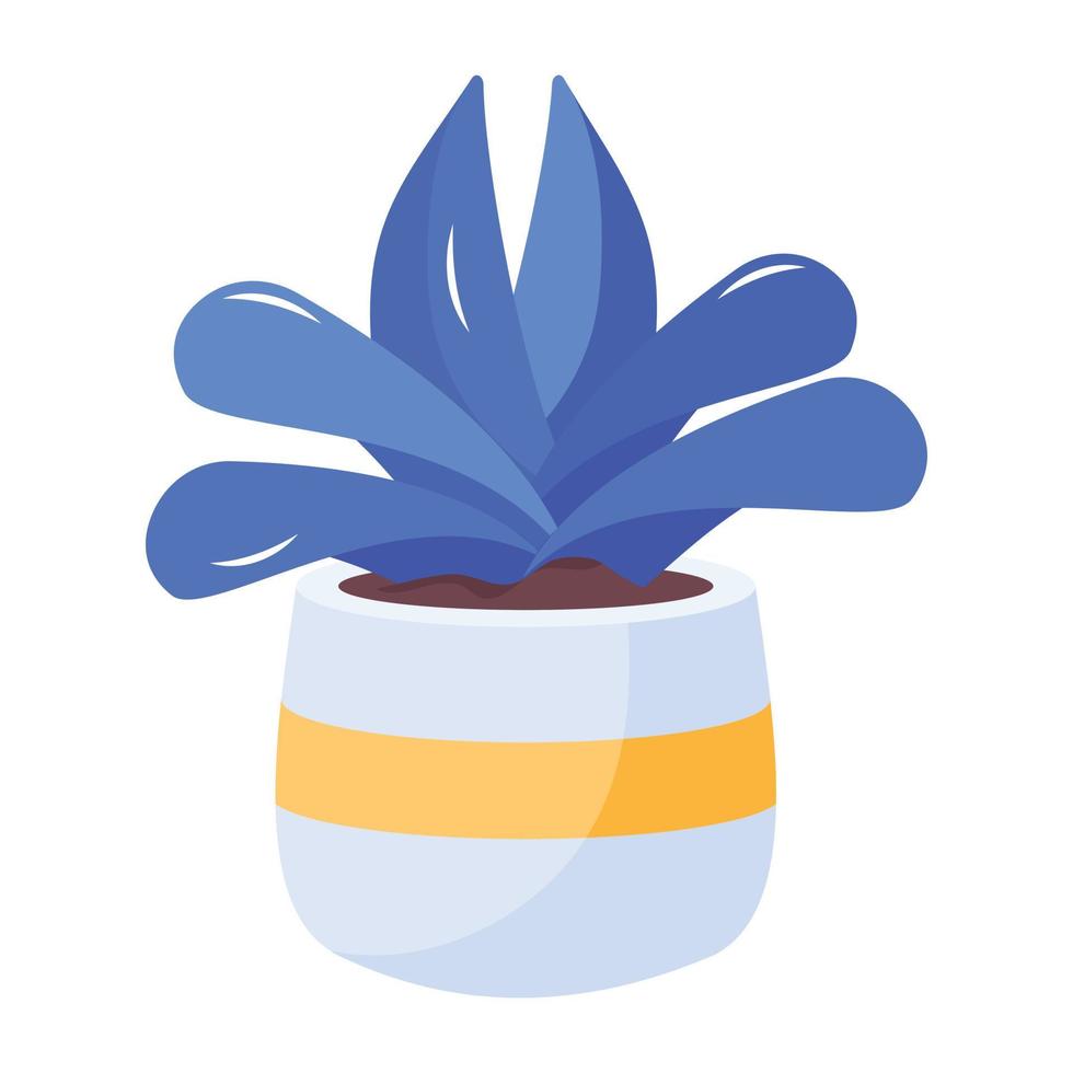 Trendy Echeveria Laui vector