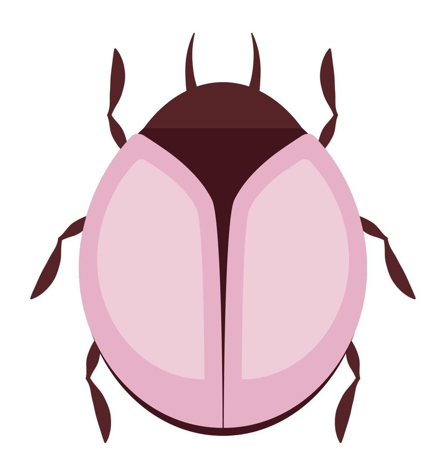 colored beetle design vector