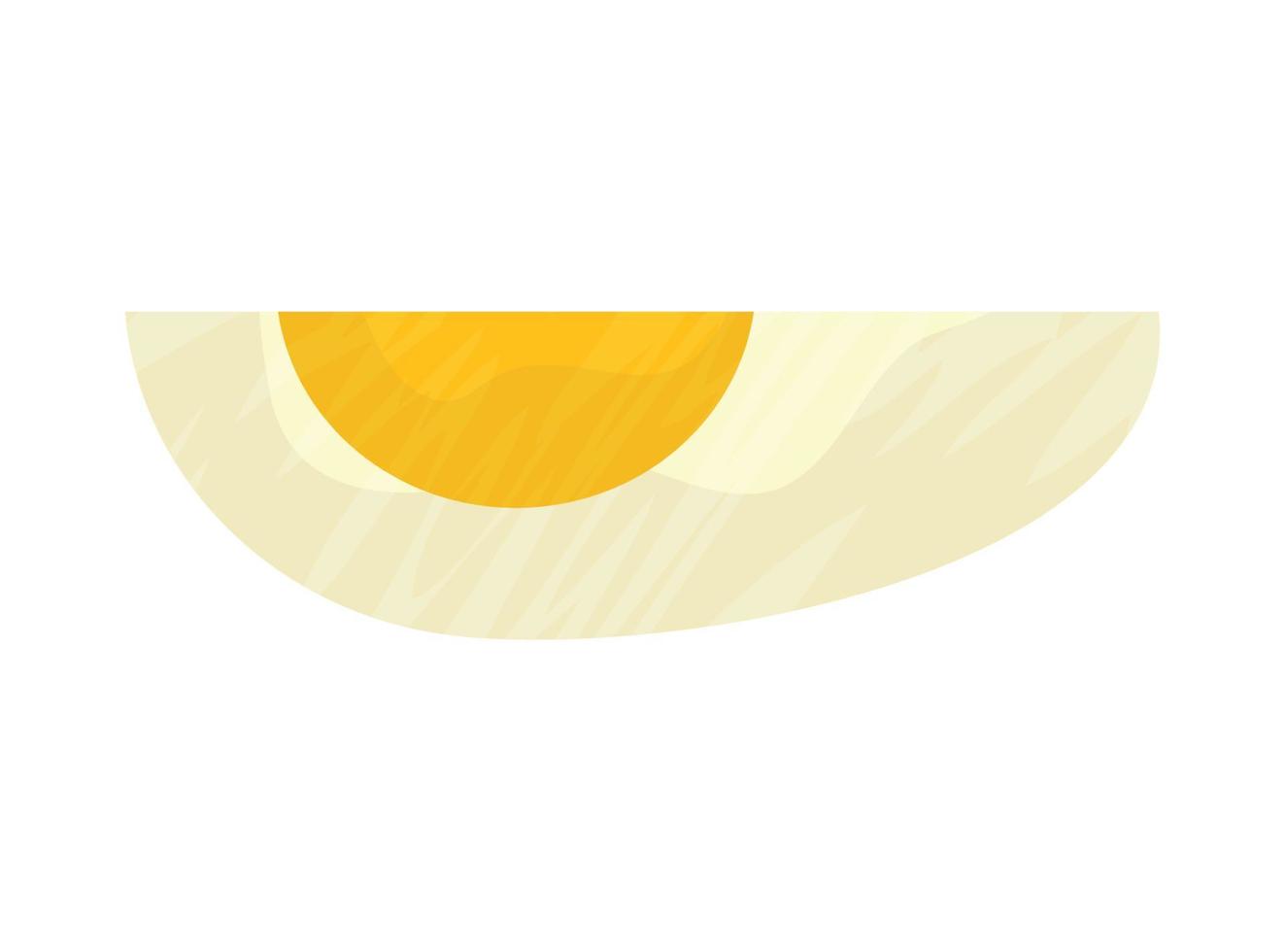 egg slice illustration vector