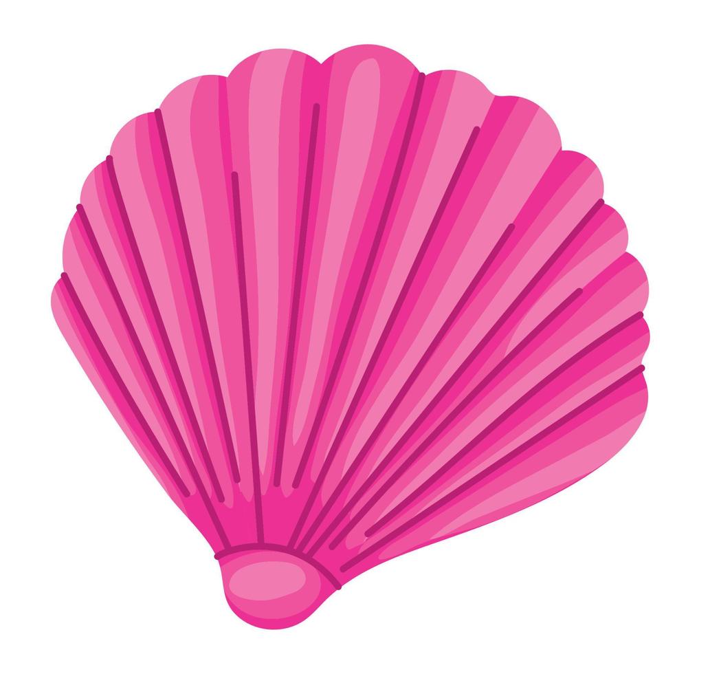pink conch shell illustration vector