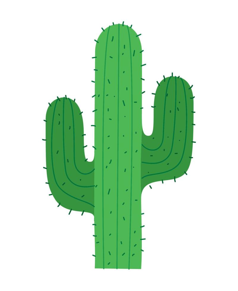 green cactus illustration vector