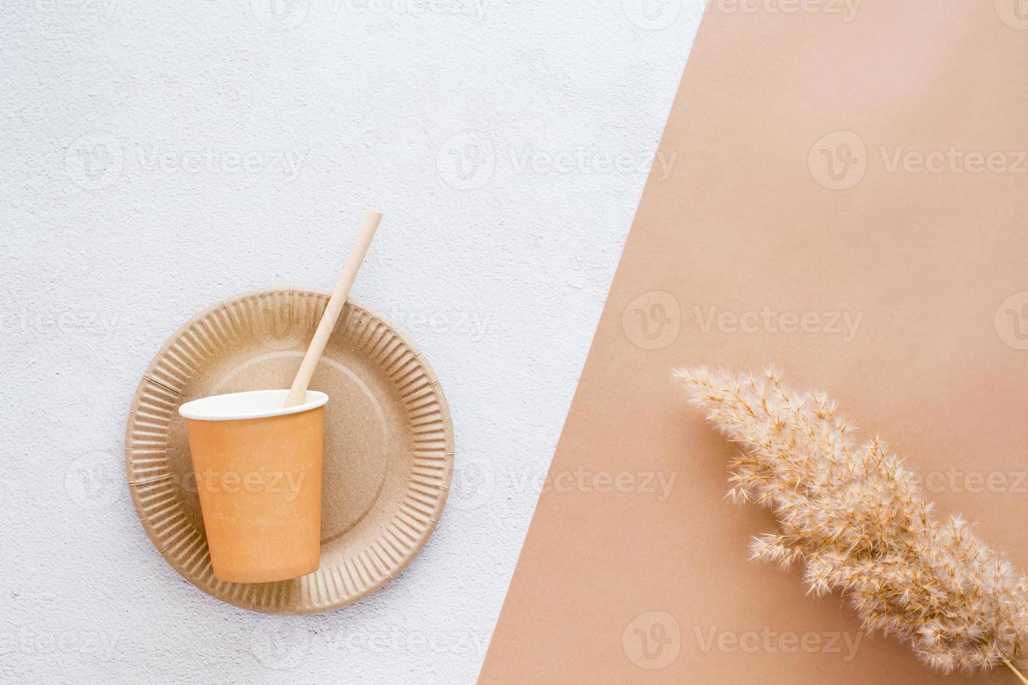 The concept of eco-friendly utensils for food. Cardboard plate, cup and drinking straw on a two-tone background. Top view. photo