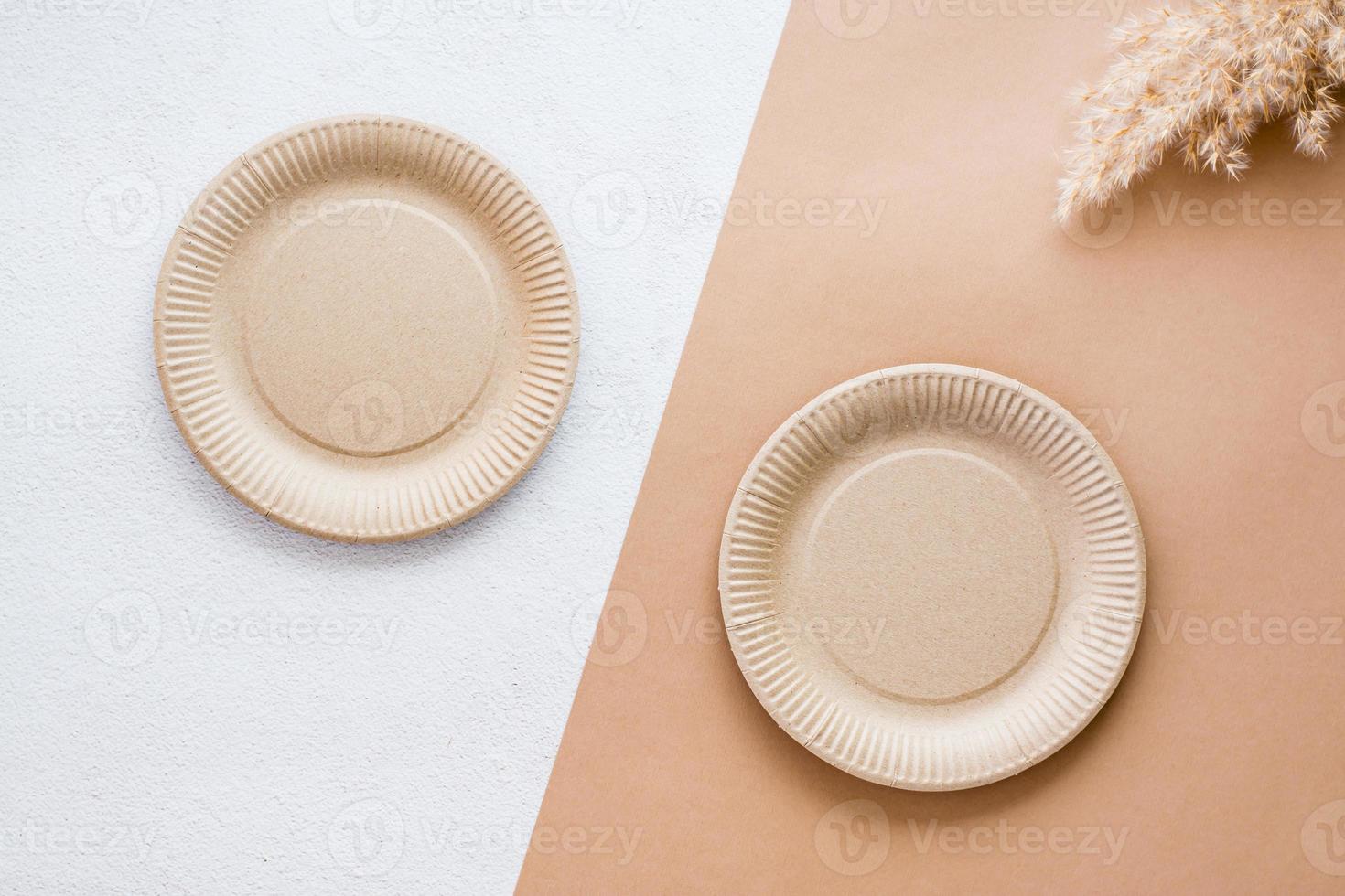 The concept of eco-friendly utensils for food. Two cardboard plates and dry grass on a two-tone background. Top view. photo
