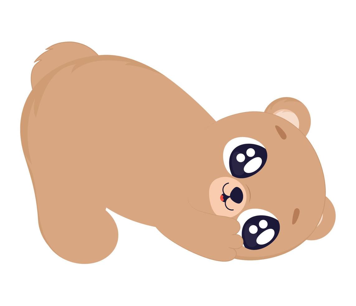 beautiful bear illustration vector