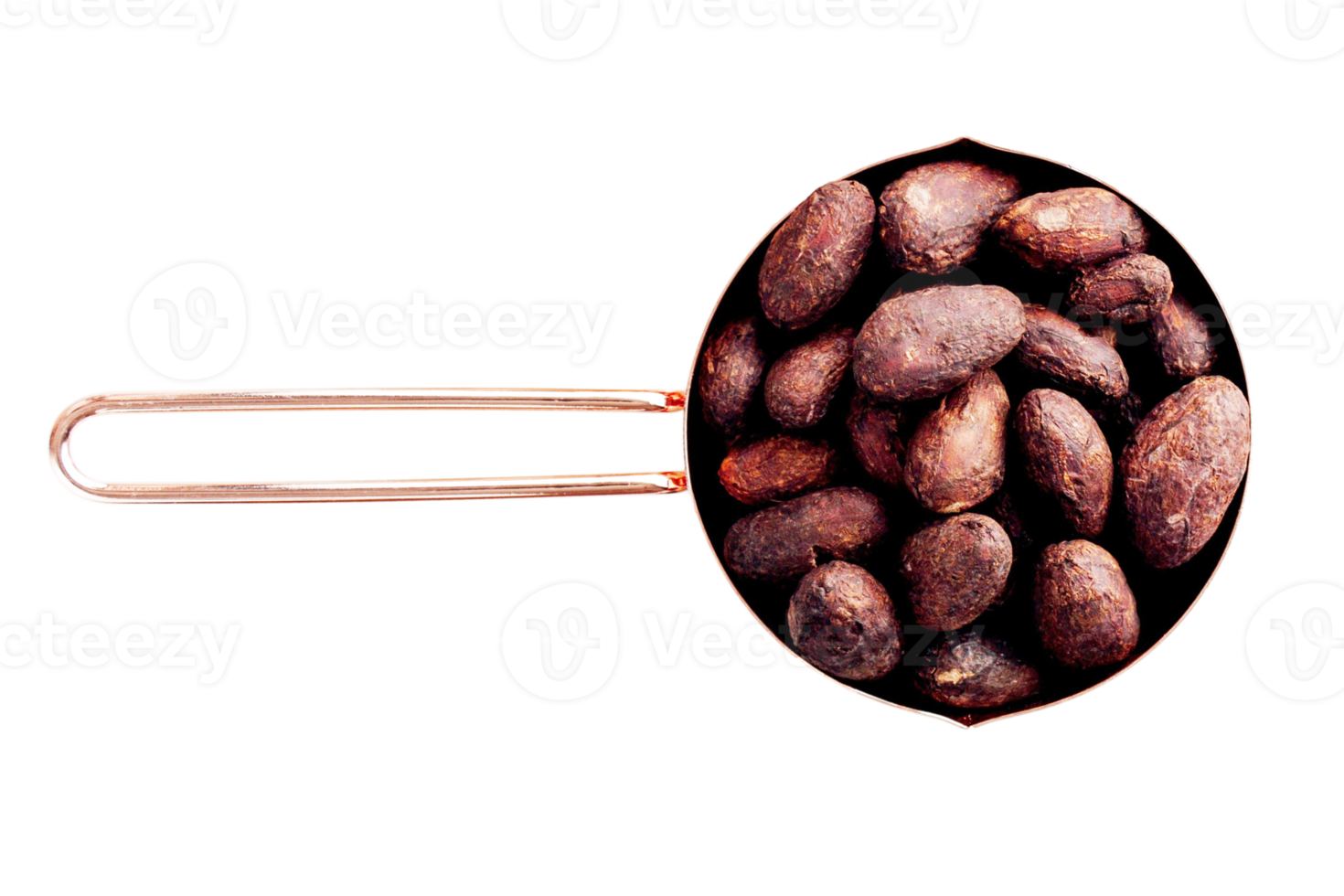 marrón nueces en un taza aislado en un transparente antecedentes png