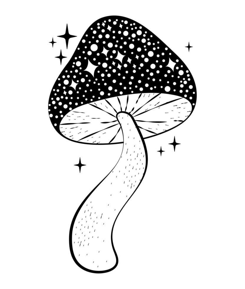 black mushroom illustration vector