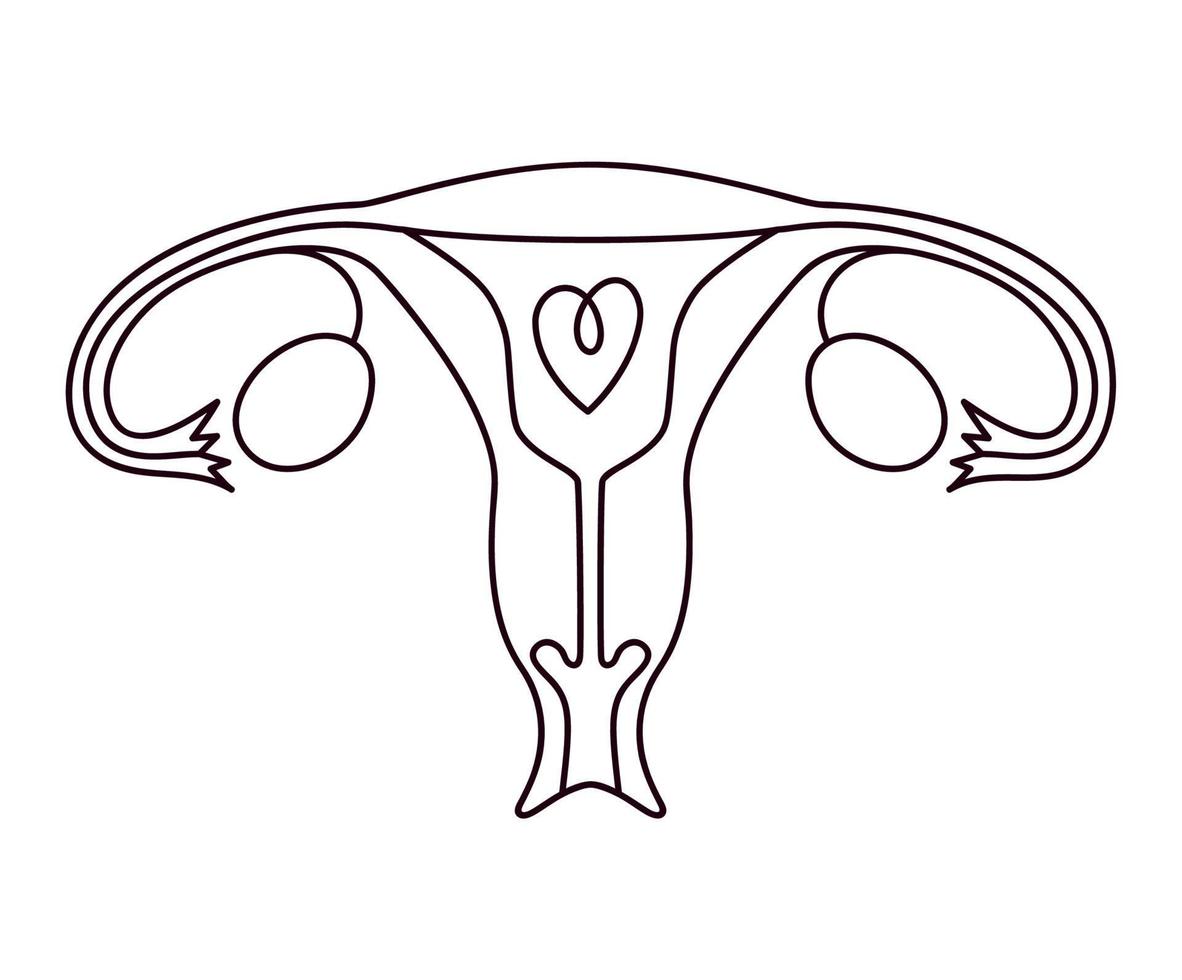 pink uterus icon vector