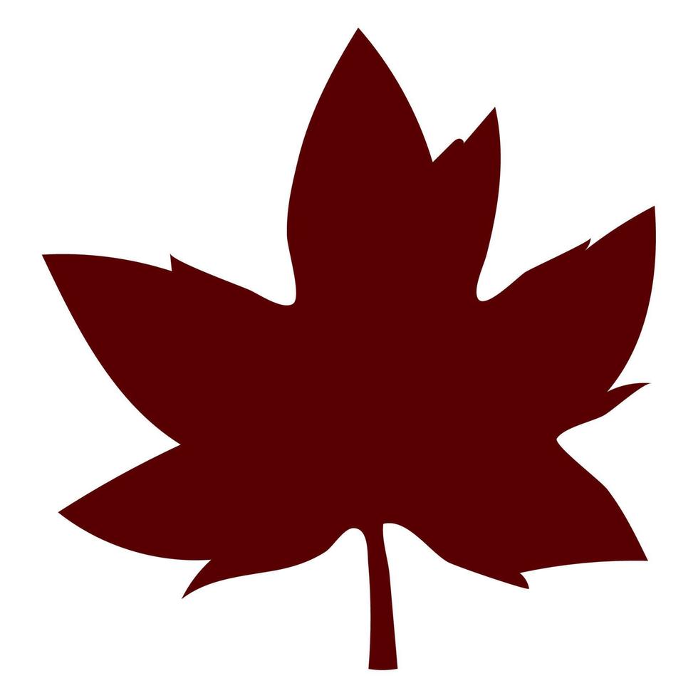 maple leaf illustration vector