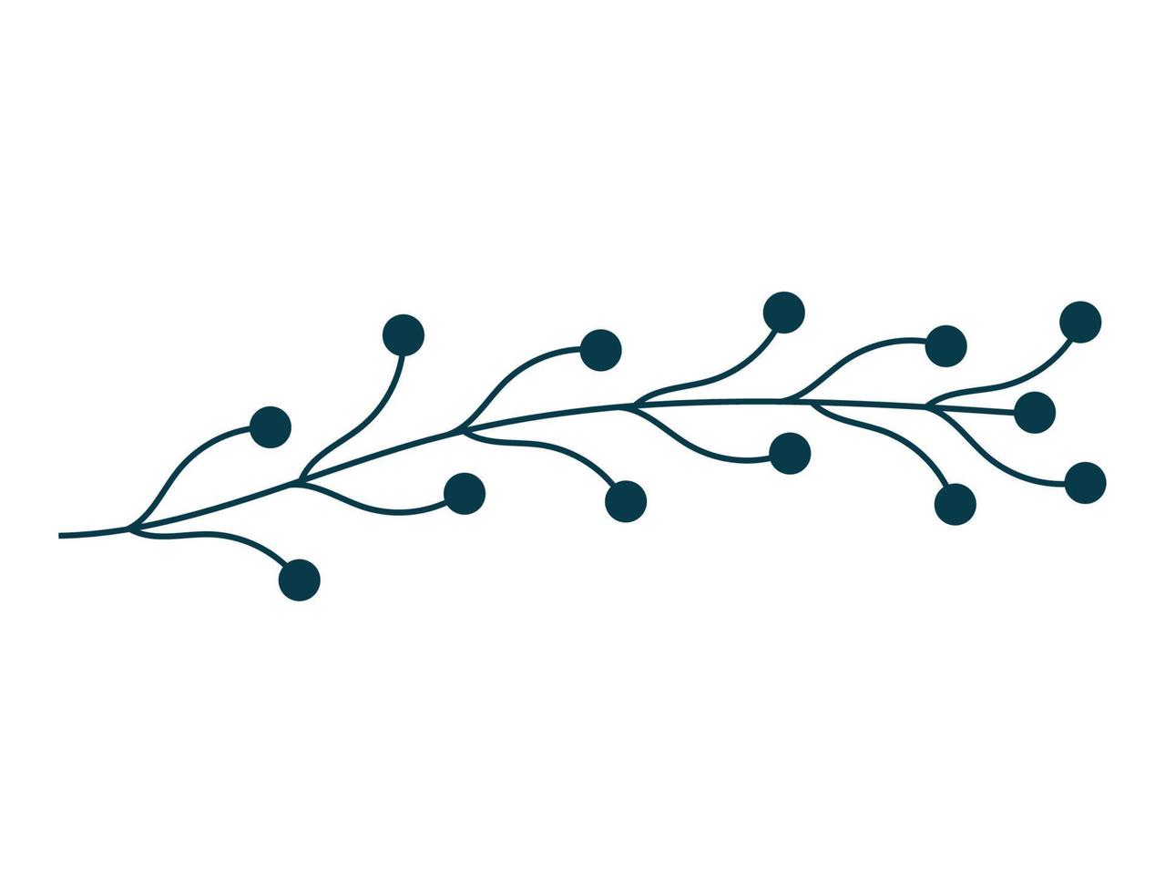 natural branch with berries vector