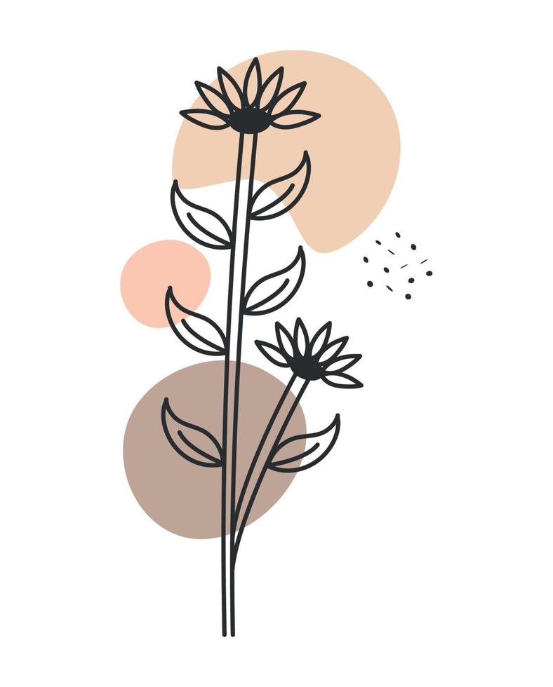 natura plant illustration vector