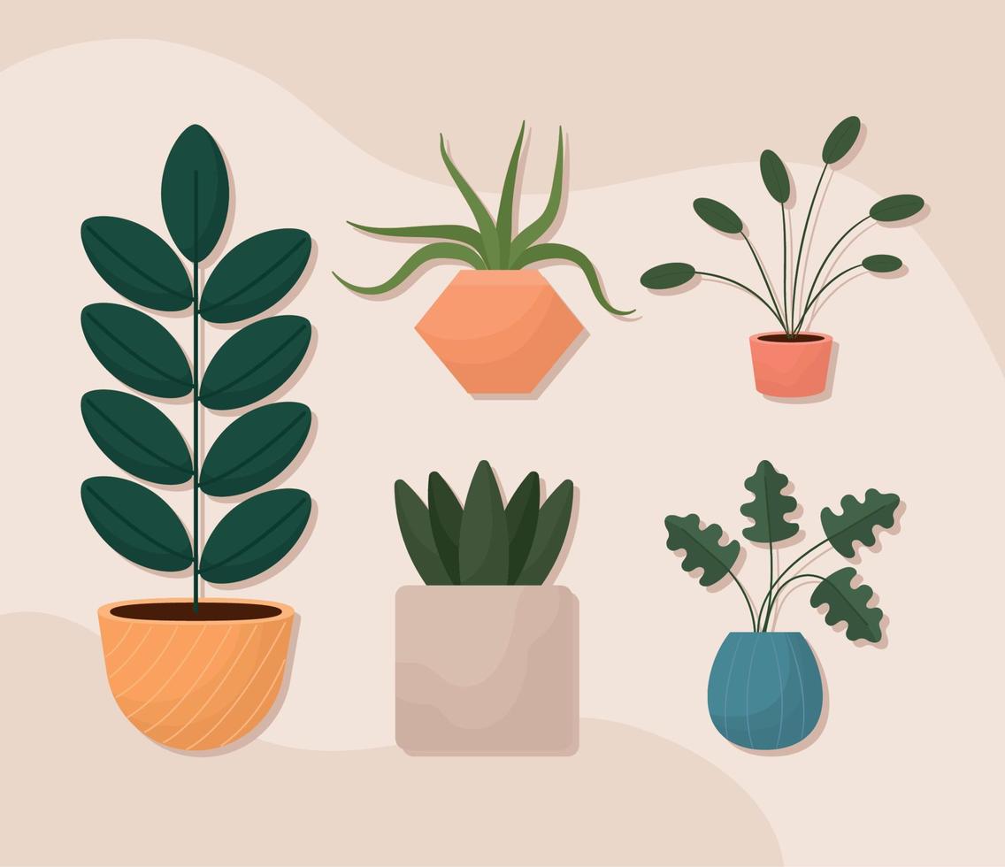 five potted plants vector